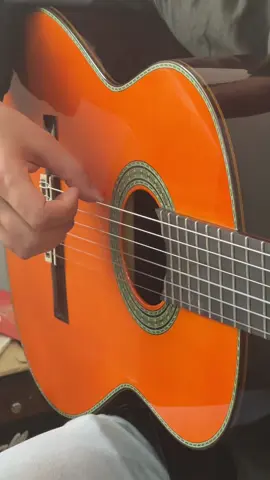 Pasodoble #guitarist #guitarra #rumba #guitartutorial 