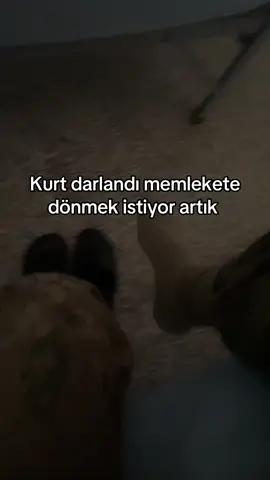 Nerde o sayılı gün çabuk geçer diyenler 😁#keşfet #adana01 #tiktokindia #asker #tsk 