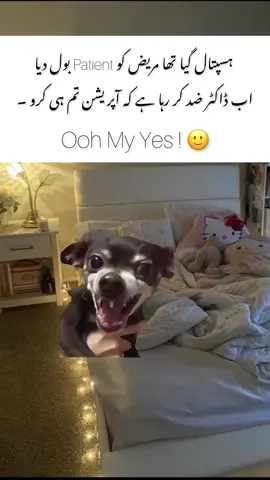 Repost 🤧😂 #meme #funnymemes #funnytiktok #foryoupage❤️❤️ #relate 