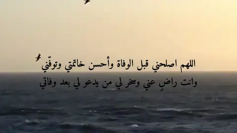 #قران_كريم 
