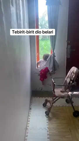#toddler #toddlersoftiktok #anakanak #iburumahtangga #babyblues 