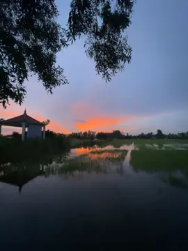 “爱你就像风，抓不住，只能默默的随风而去。” 