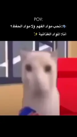 #الشعب_الصيني_ماله_حل😂😂 #video #viral #fyp #tiktok 