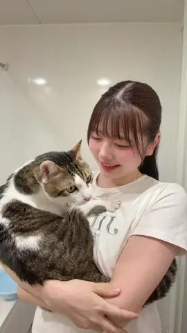 猫たん参上！∠(　˙-˙ )／#fyp 