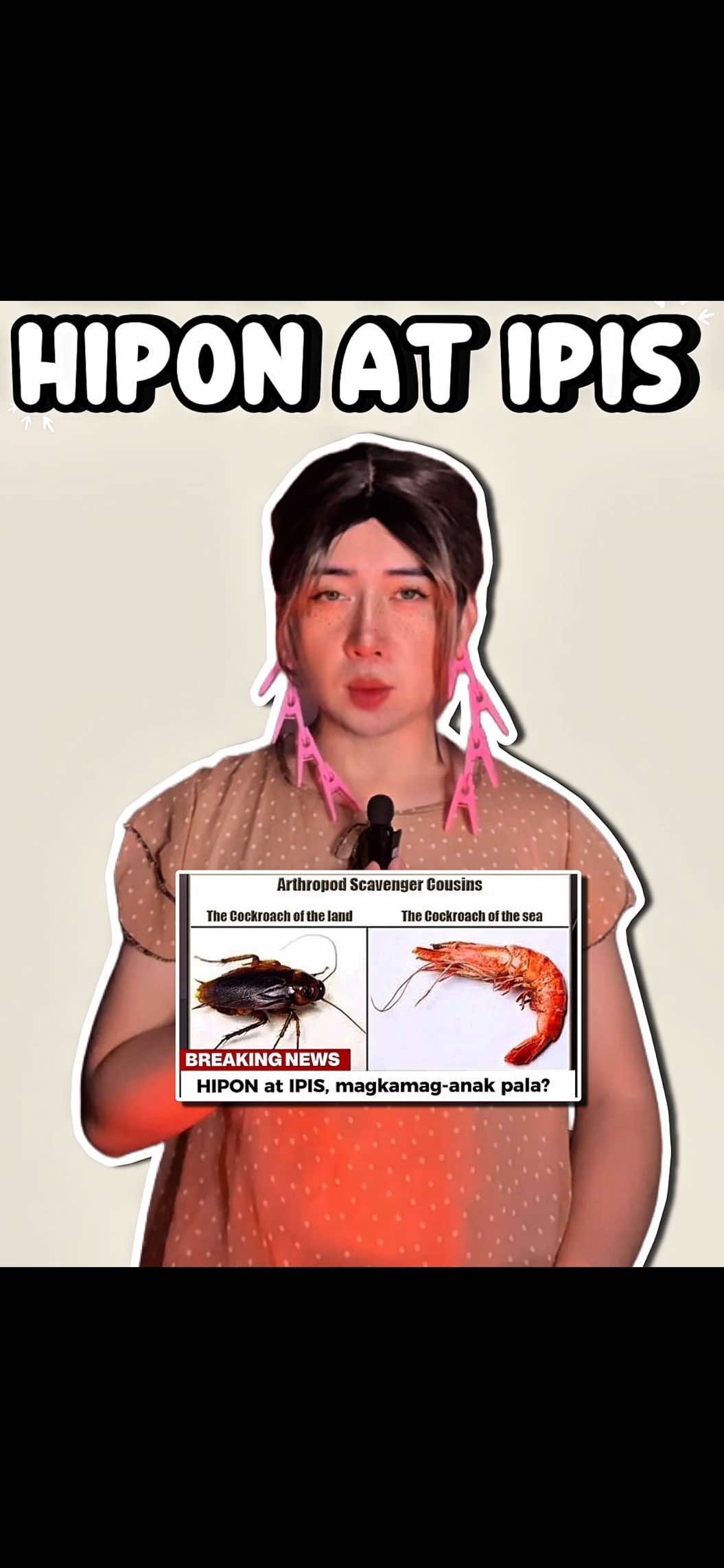 Trending News : Hipon at ipis, magkamag-anak pala? #hipon #ipis #cockroach #shrimp #scavengers 