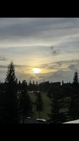 free to use #livephotos #fyp 