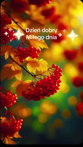 #🥰☘️🦋🧚🏿😊 
