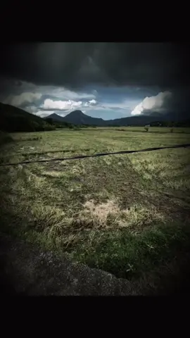 “人群依然在欢笑，在谈论，但没有人知道我的内心已经空虚许久。” “Giữa đám đông vẫn cười nói, chỉ là không ai biết lòng đã trống rỗng từ rất lâu.”#tamtrang #minhlong0903_08 