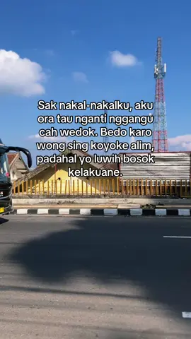 #bosokyobosokwae#foryoupage#viralvideo#kelinganmantan #bandugan