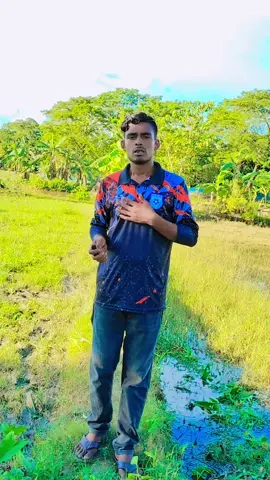 Arif king