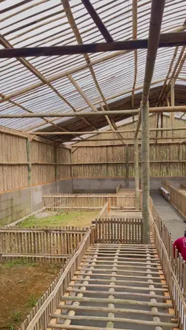 Proses pembuatan kandang bebek Petelur kapasitas 400 ekor , #peternakmuda #bebekpetelur #bebek #foryourpages #kandangbebekpetelur 