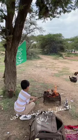 اليوم الوطني الجنوب