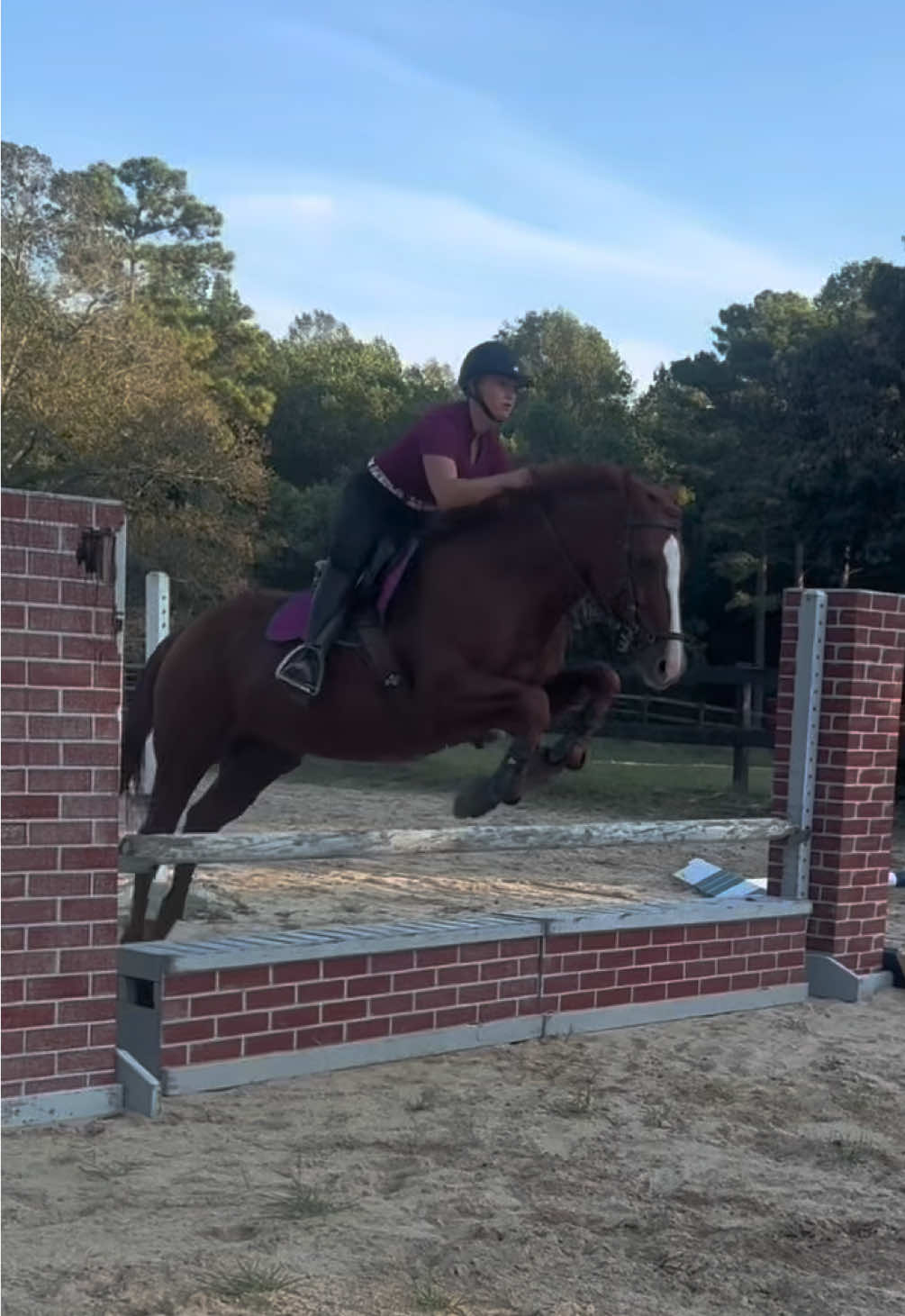 Last jump for a little while … 💜 Praying for a speedy recovery so we can get back to working on our goals for upcoming seasons 🙏🏼 #CapCut #fyp #horse #showjumping #ottb 