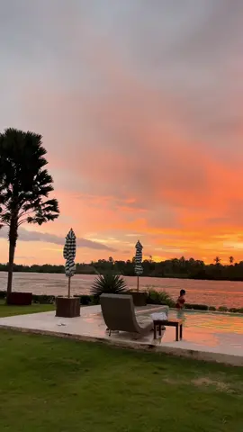 🌴🌊