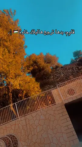 #explore #القدس_لنا🇵🇸🕌 #مخيم_جنين_اسم_لن_يكرره_التاريخ💪 #quran #السعودية_الكويت_مصر_العراق_لبنان 𓂆خاوة