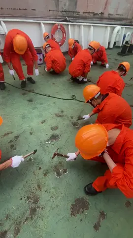 @!!!hử ngọt xớtttt #thuctaptauvmu#daihochanghaivietnam 