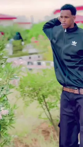 Video dhamayso😂💔😭#foryoupage #qawdhanowww 