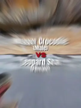 Leopard Seal vs Mugger Crocodile #leopardseal #muggercrocodile #animaldebate #leopardsealvsmuggercrocodile #sealvscrocodile 