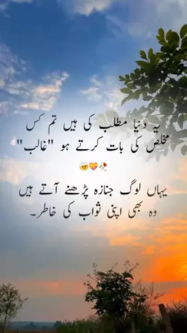 mirza ghalib❣️ #mirzaghalibpoetry #urdupoetry #foryou 