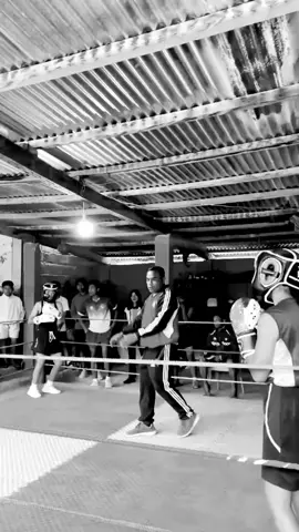 #serunyaboxing🥊 👀