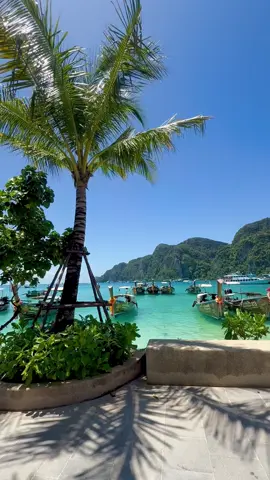 #เกาะพีพี #กระบี่ 