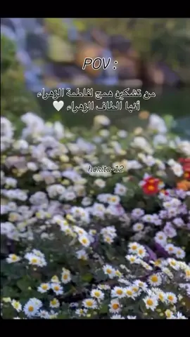 😔🤍🤍#يامولاتي_يافاطمه_الزهراء #الامام_علي_بن_أبي_طالب_؏💙🔥 #اللهم_صل_على_محمد_وآل_محمد #اللهم_عجل_لوليك_الفرج #iiiiiiiiiiiiiiiiiiiiiiiiiiiiiiiiiiiiiiii 