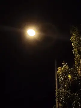 mengagumi dirimu🥀 #lirik #liriklagu #lagujawa #lyrics #songs 