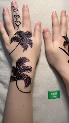 #اليوم_الوطني_السعودي_95_🇸🇦⚔️ #اليوم_الوطني_السعودي_٩٥ #الدمام #سيهات_القطيف_القديح_صفوى_الجش_الخبر #