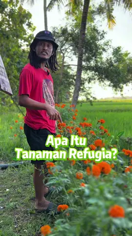 Apa Itu Tanaman Refugia? #refugiados #refugia #petanimuda #MLBBNEXT2025 