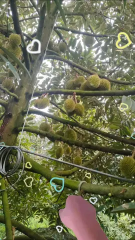 mỏi ngày một niềm vui 