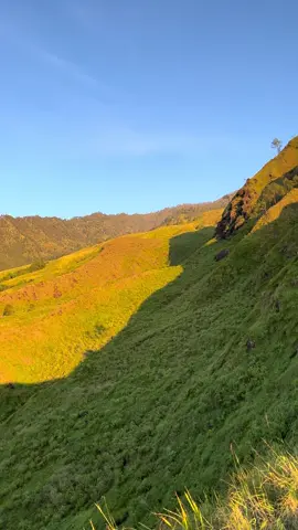 Jatuh cintaaaa berkali kali sama lincing tapi tidak dengan tracknyaaa #mtlincing1860mdpl #fyp #lincingarjuno #mtlincingvialawang #pendakigunung 
