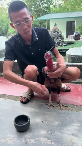 Dạng viên đã có nhé ae