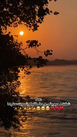 بس مشبعت منها ☹️♥️✨ #فولو #لايك #اكسبلور #الشعب_الصيني_ماله_حل😂😂 #حب 