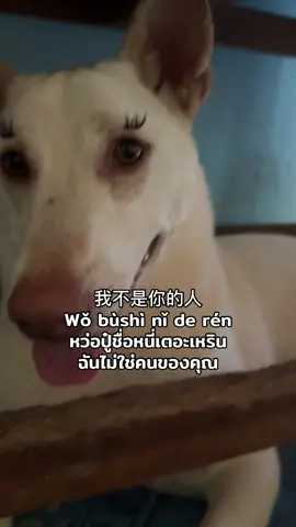 ยังไม่หมดอีก 🤣
