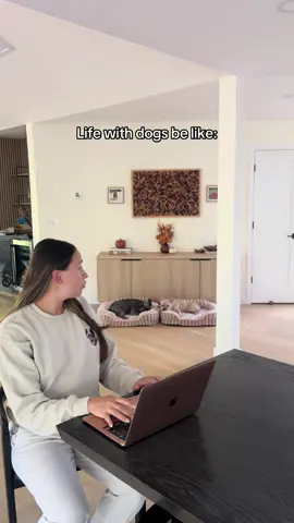 They came out of nowhere!! @Lesure Pet #dogsoftiktok #frenchiesoftiktok #frenchbulldog #dogsoftiktokviral #dogowner 