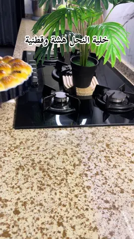 اطيب خلية نحل هشة وقطنية تجنن ع طريقتي  المكونات طحين ٤ كوب حليب باودر ٣ ملاعق سكر ملعقة ملح نصف ملعقة  خميرة ملعقة مع نصف كوب من لماء  دافي ومع ملعقة سكر اخلطها واتركها تتفاعل ١٠ دقايق  زيت نصف استكان ماء كوب   تعجنيها كولش زين وتركيها لمده ساعه  واحشيها بلشي لتحبو اني حشيتها جبن واكورها ع شكل دائره وارتبها بلصينية ومرة ثانية اتركها تختمر  ٣٠ دقيقة امسح الوجه بالبيض وارش حبة بركة وسمسم بين وحدة وحدة حتى اصير احلى واجمل ك شكل  نشغل الفرن ع درجة حرارة ١٨٠  مسبقاً  ادخل الصينية  الفرن من الاسفل لمدة٢٥ دقيقة وبعدين من الاعلى ١٠ دقايق وعلينة وعليكم بالف عافية #خلية_النحل #خلية #خليه #اكسبلور #اكسبلورexplore 