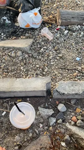 #pantaimarinasemarang #fyp #lewatberandaa 