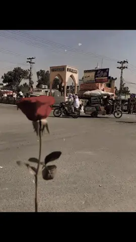 Ayat kehti hen ... Aisy e video utha k post krti hen or viral ho jati hn ... ye sb AP ki wja Sy h, Darshako 🙈 I love u all 