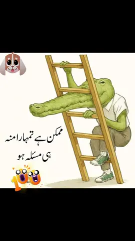 🤪🤪🤪🤪🤪