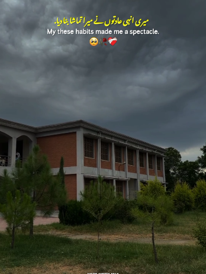 Affection, Respect, Loyalty and Simplicity 🌼🎀 || Lines ❤️‍🩹🙂 || Touching lines 💔 || Life Lines ❤️‍🩹 || Status Video ✨ #fyp  #lifelines #touchingwords #statusvideo #foryoupage 