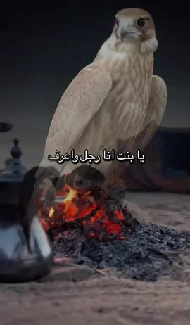 #أكسبلور_شعر_حكم_خواطر 