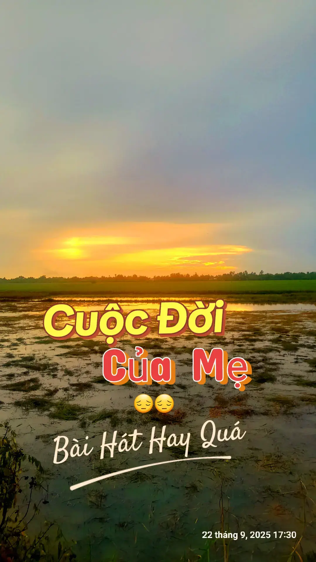 #xuhuong #quehuongmientay #nhachaymoingay #tiktok 