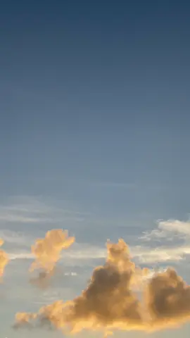 🤘🏽🌷#foryou #sunsetlover #sunset #fypシ 