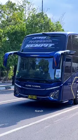 Rombongan bus putri tunggal  #buspariwisata #putritunggal #busbasuri #rombongan #fypage 