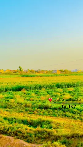 #ابوسمره_الجبوري #الشعب_الصيني_ماله_حل😂😂 #تصويري_احترافي_الاجواء👌🏻🕊😴 #صدرالنهر_الزاب_الاسفل #اجواء_الصيف 