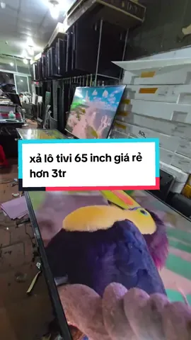 xả kho lô tivi 65 inch hơn 3tr 1 cái cho bác nào lấy lắp công trình hàng giá rẻ.  #tiviluot #dienmayxanh #bantivicu #