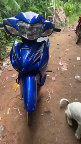 😋#เวฟมั้ยจ้ะ #อย่าปิดการมองเห็น 