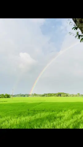 ki view re vai.. amon akta view ajk dhakta pabo vabe nai 🌺😊❤️#foryourpage #ঝিকরগাছা #vairal #jhikorgasha_jessore #প্রকৃতির_অপূর্ব_সৌন্দর্য🥰 #foryoupage 