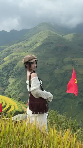 Mùa lúa chín vàng tại Tà Xùa đẹp mê 🥹 #taxua #viral #xuhuong #vietnam 