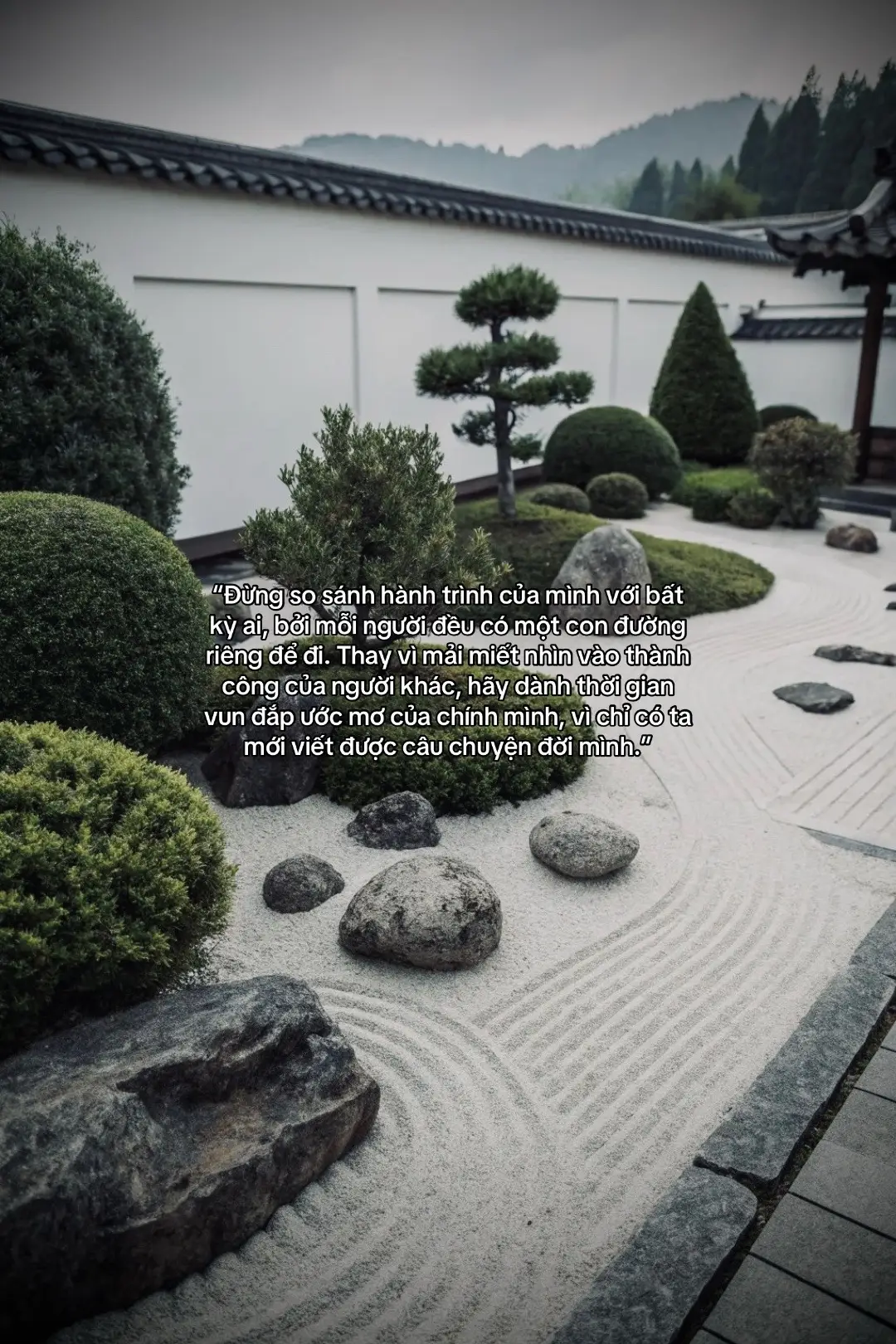 “Đừng so sánh hành trình của mình với bất kỳ ai, bởi mỗi người đều có một con đường riêng để đi. Thay vì mải miết nhìn vào thành công của người khác, hãy dành thời gian vun đắp ước mơ của chính mình, vì chỉ có ta mới viết được câu chuyện đời mình.”#xuhuong #canthanhtung 